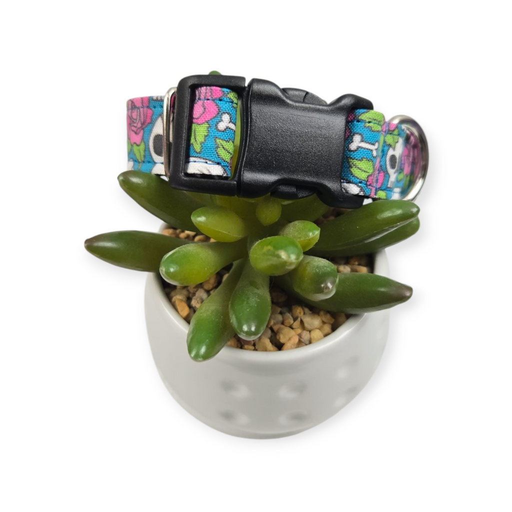 Skulls and Roses Pink on Teal Dog collar (Small, 3/4" wide)