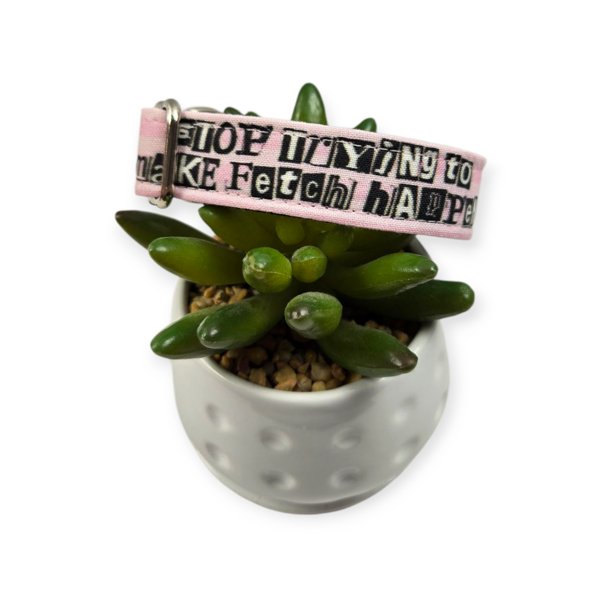 Stop Trying to Make Fetch Happen Dog collar (Small, 3/4" wide)