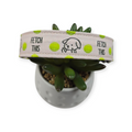 Fetch This on Pink Dog Collar (Large)