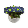Fetch This on Navy Dog Collar (Large)