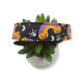 Pumpkin Rainbows Dog Collar (Large)