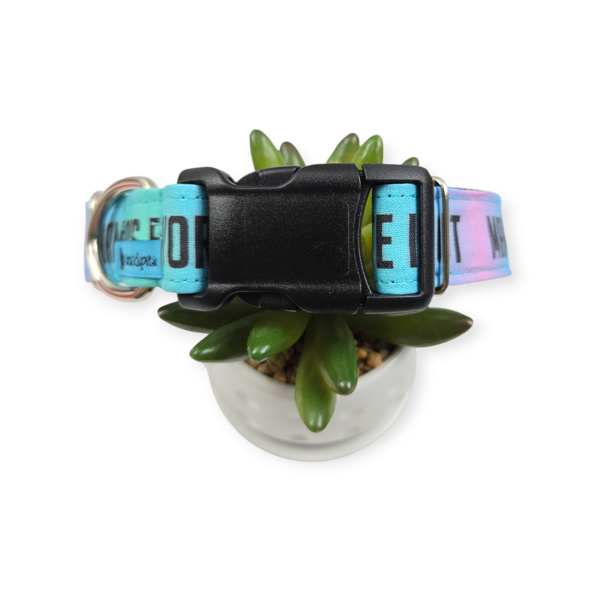 Mama's Favorite Idiot Dog collar (Medium, 1" wide)