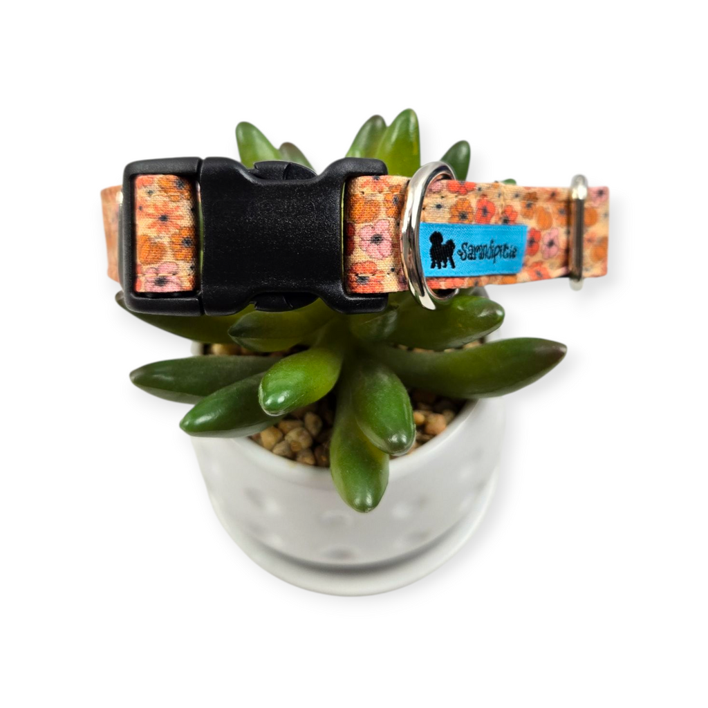 Ditzy Floral Pumpkins Dog collar (Medium)