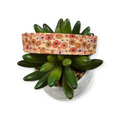 Ditzy Floral Pumpkins Dog collar (Medium)