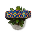 Utah Dog Collar (Medium, 1" wide)