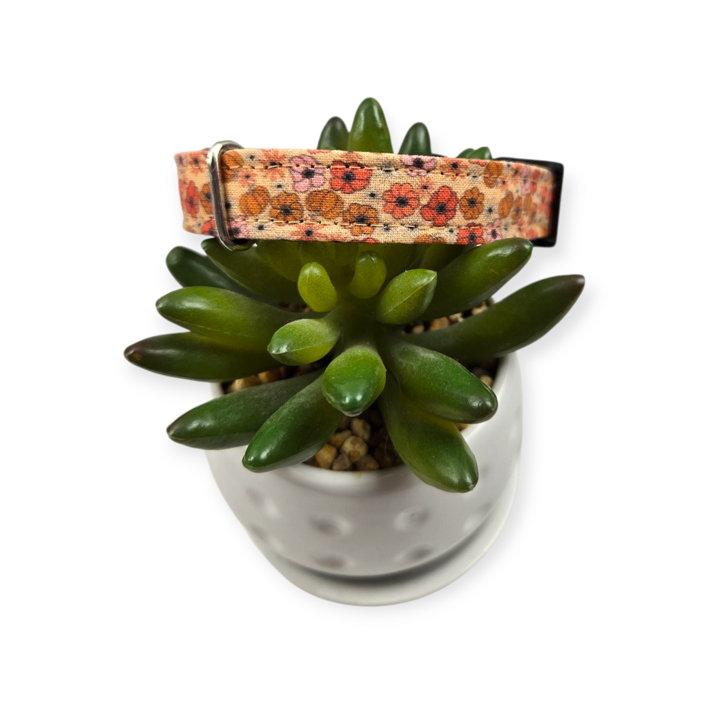 Ditzy Floral Pumpkins Dog collar (Small)