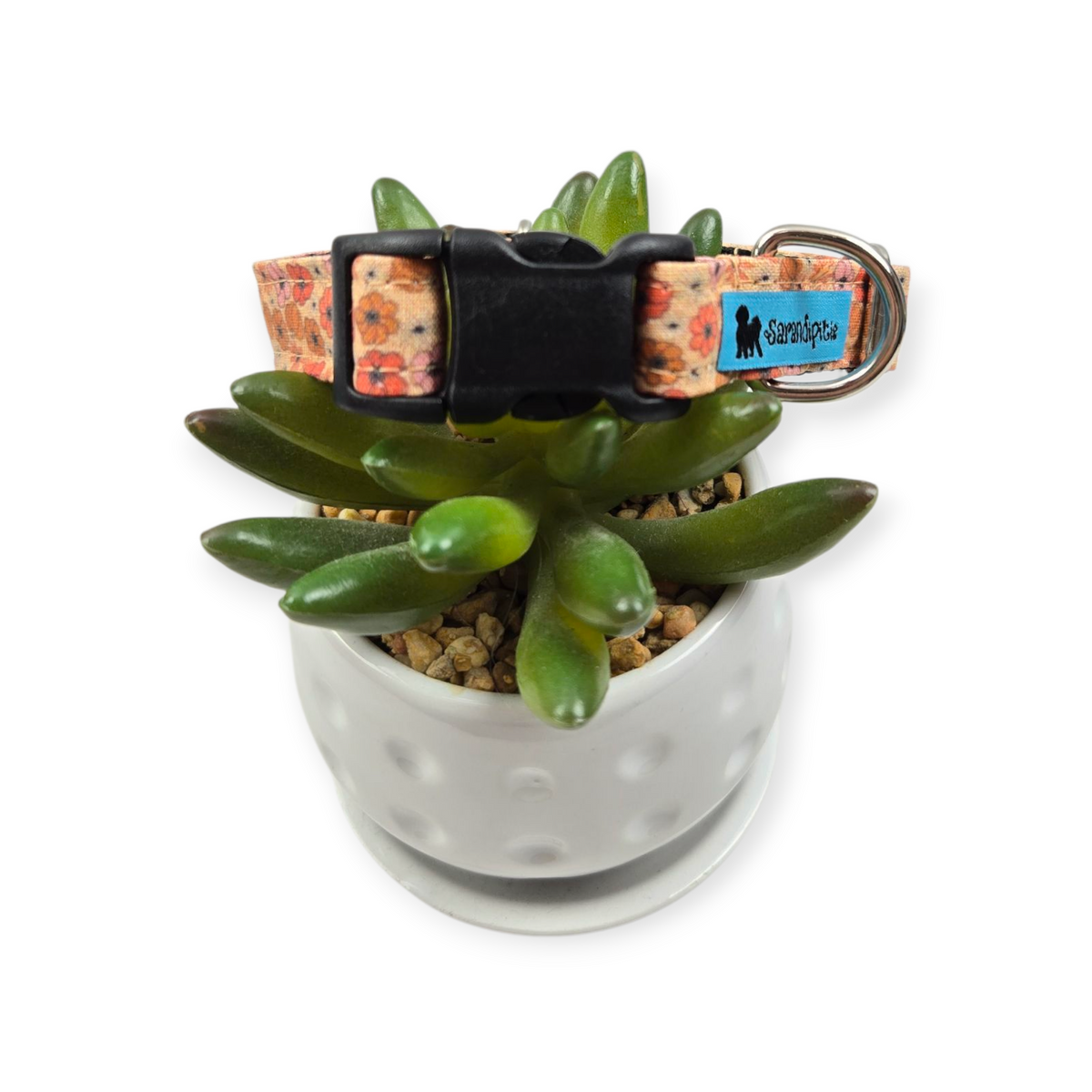 Ditzy Floral Pumpkins Dog collar (Small)
