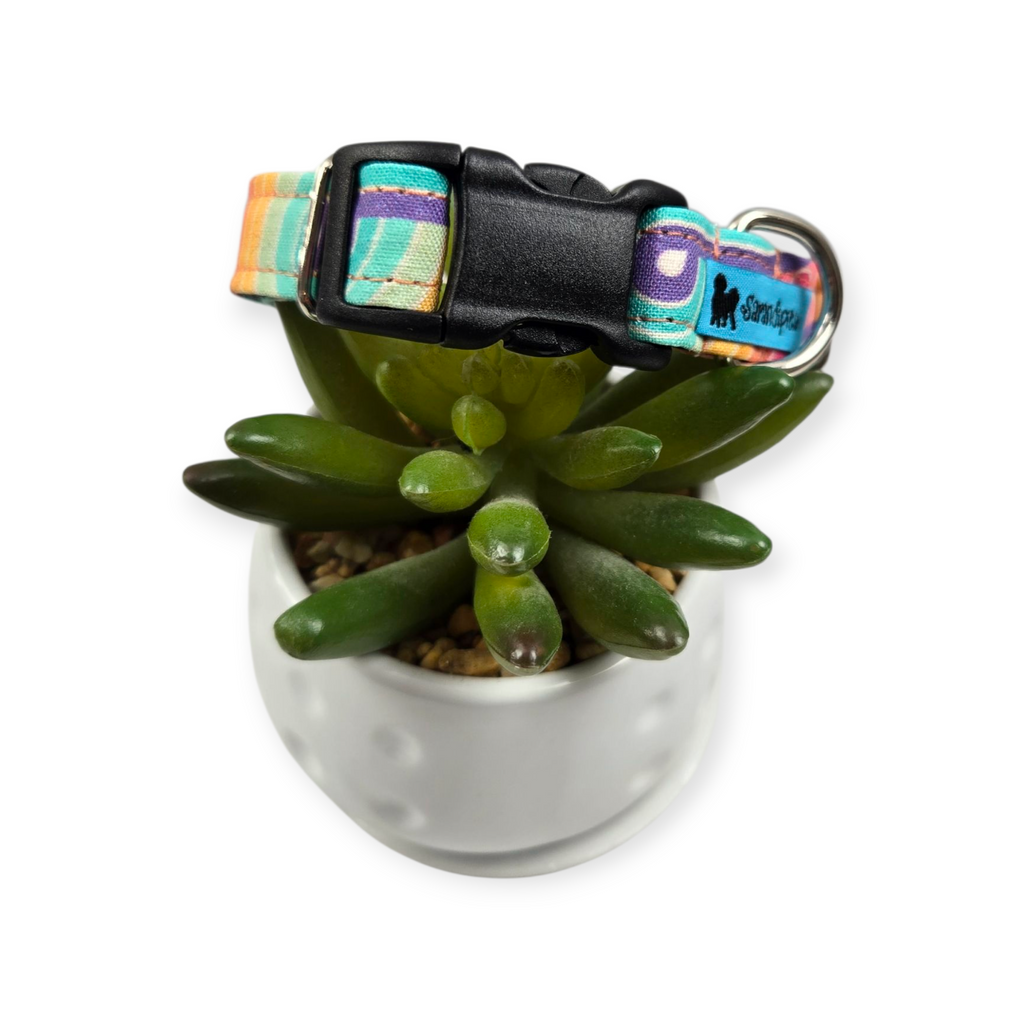 Retro Rainbow Swirls Dog collar (Small)