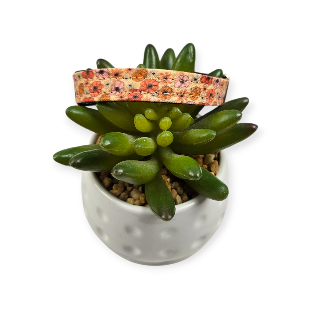 Ditzy Floral Pumpkins Kitty Collar (XX-Small)