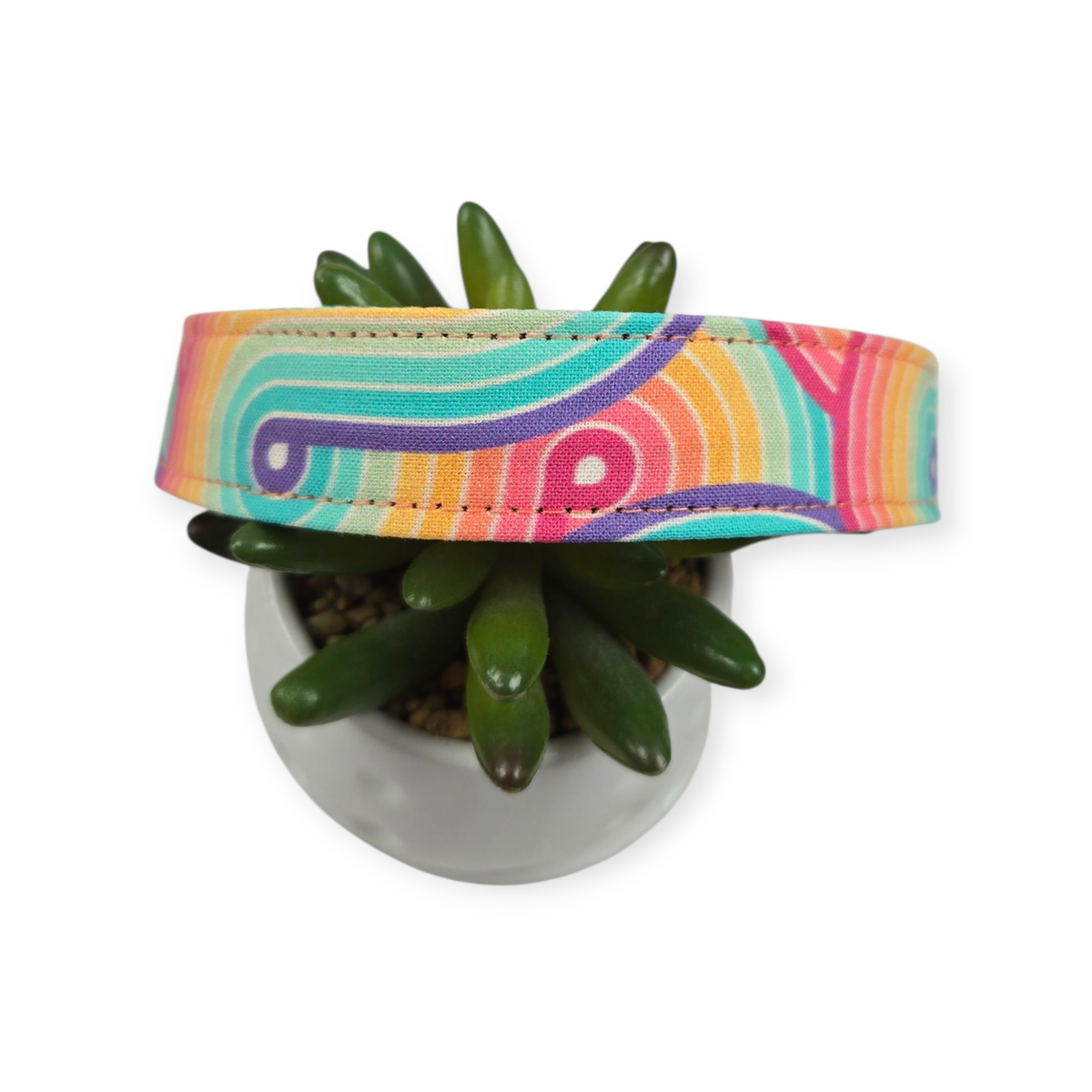 Retro Rainbow Swirls Dog collar (Large)