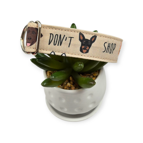 Adopt Don't Shop Dog collar (Medium, 1" wide)