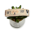Adopt Don't Shop Dog Collar (Large)