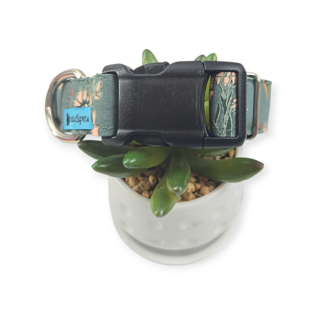 Pale Inflorescence Dog Collar (Medium, 1" wide)