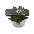 Pale Inflorescence Dog Collar (Large)