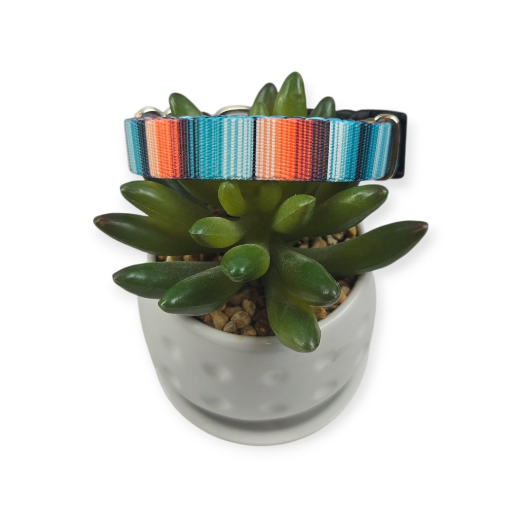 Sedona Stripes Dog Collar (Small)