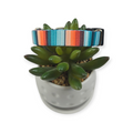 Sedona Stripes Dog Collar (Small)