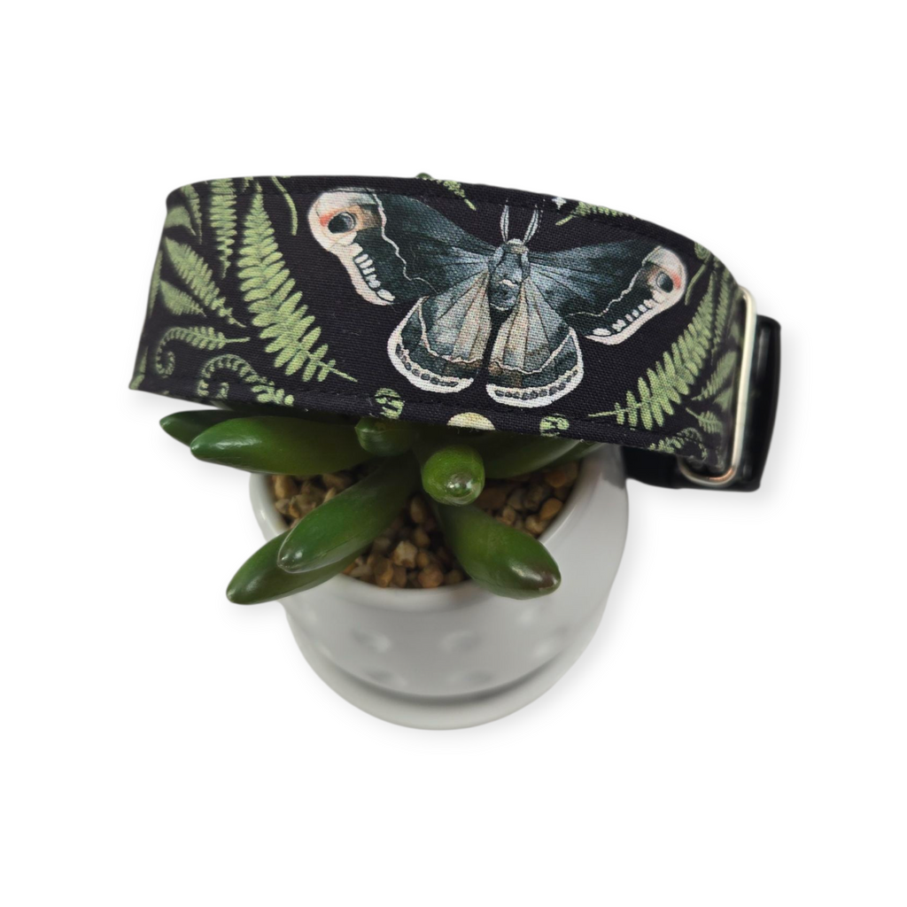 Moonflower in Midnight Dog Collar (Large, 1.5" wide)