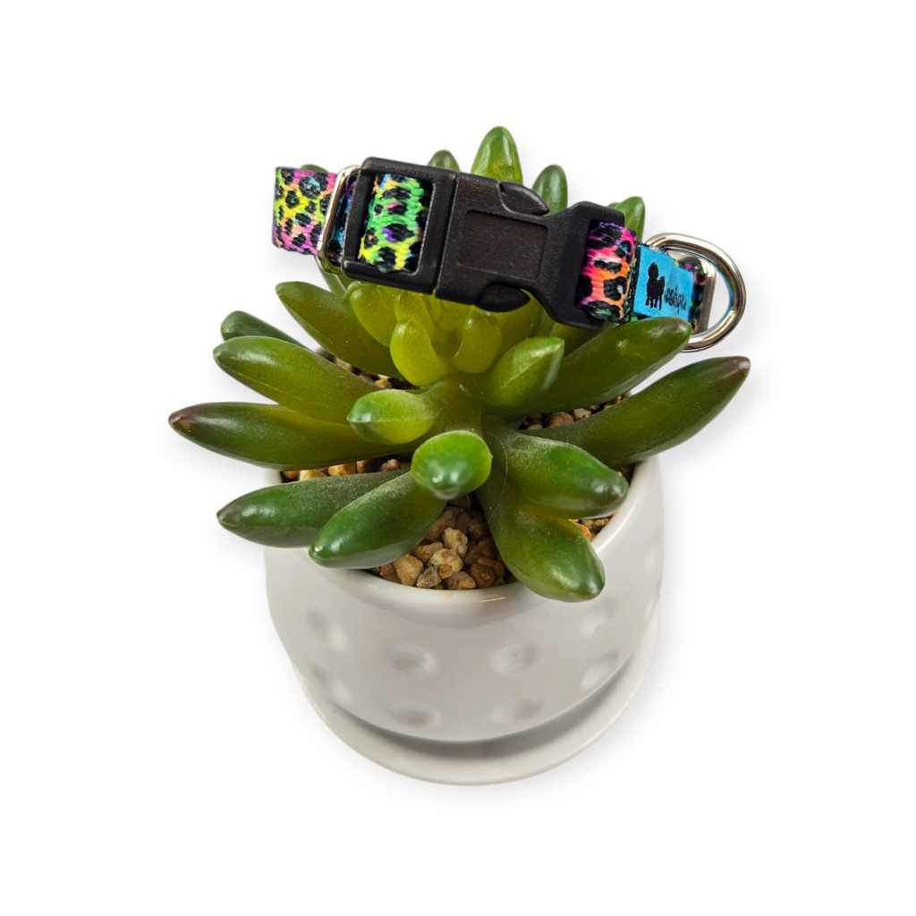 Electric Leopard Dog Collar (XX-Small)