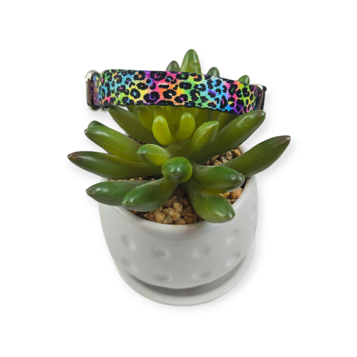 Electric Leopard Dog Collar (XX-Small)