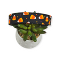 Candy Corn Polka Dots Dog Collar (Large)