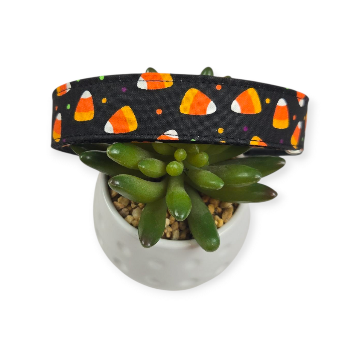 Candy Corn Polka Dots Dog Collar (Large)