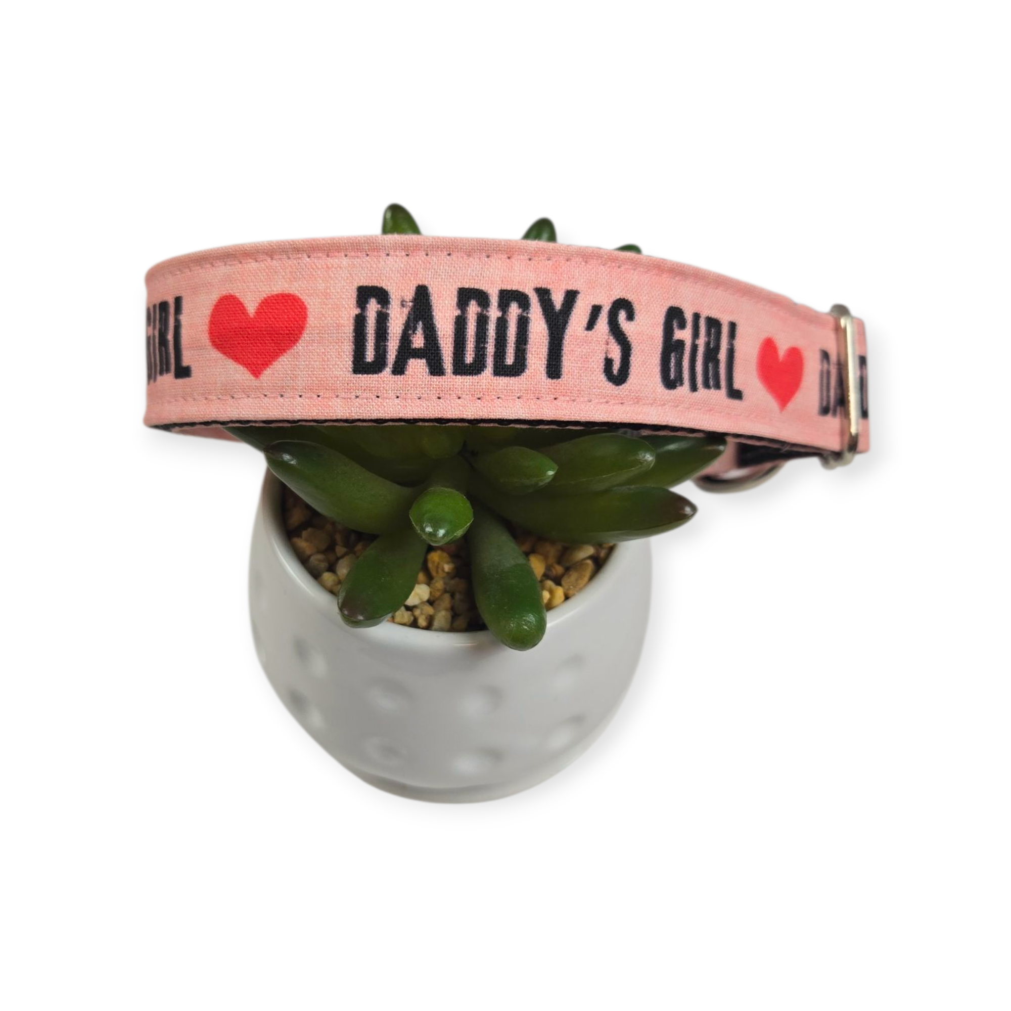 Daddy's Girl on Pink Dog Collar (Large)