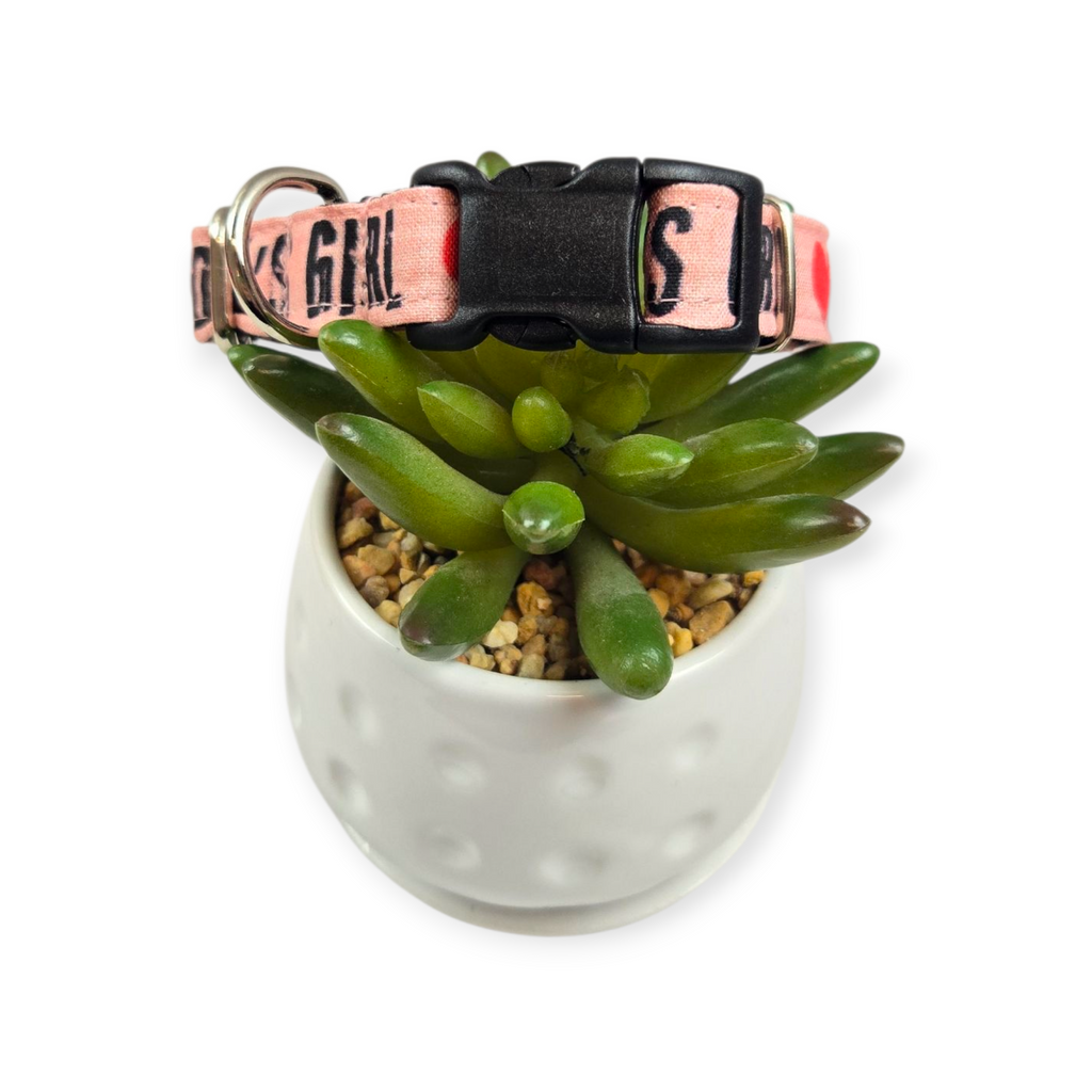 Daddy's Girl Dog on Pink Dog collar (Small)