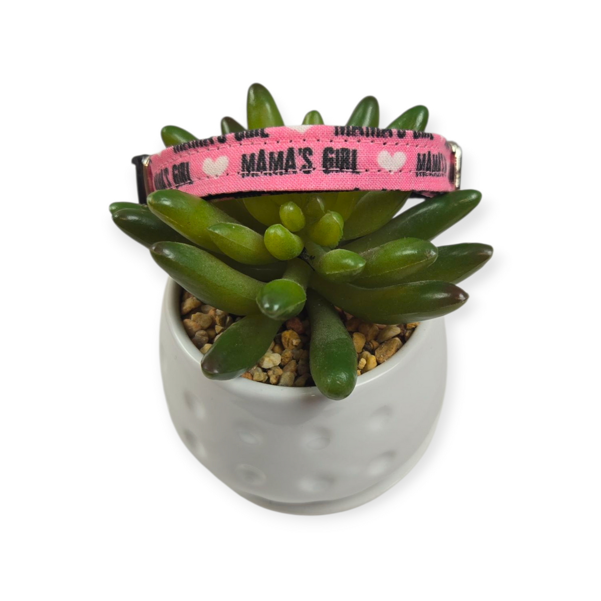 Mama's Girl Dog collar (X-Small)