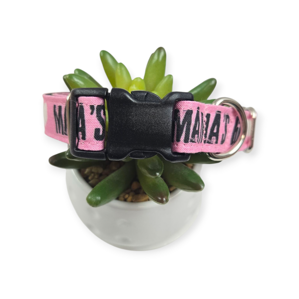 Mama's Girl Dog on Pink Dog Collar (Medium)
