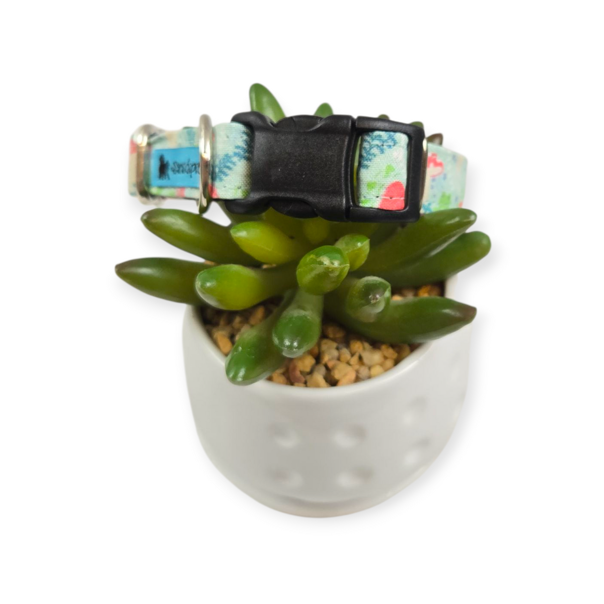 Mushrooms & Frogs Dog Collar