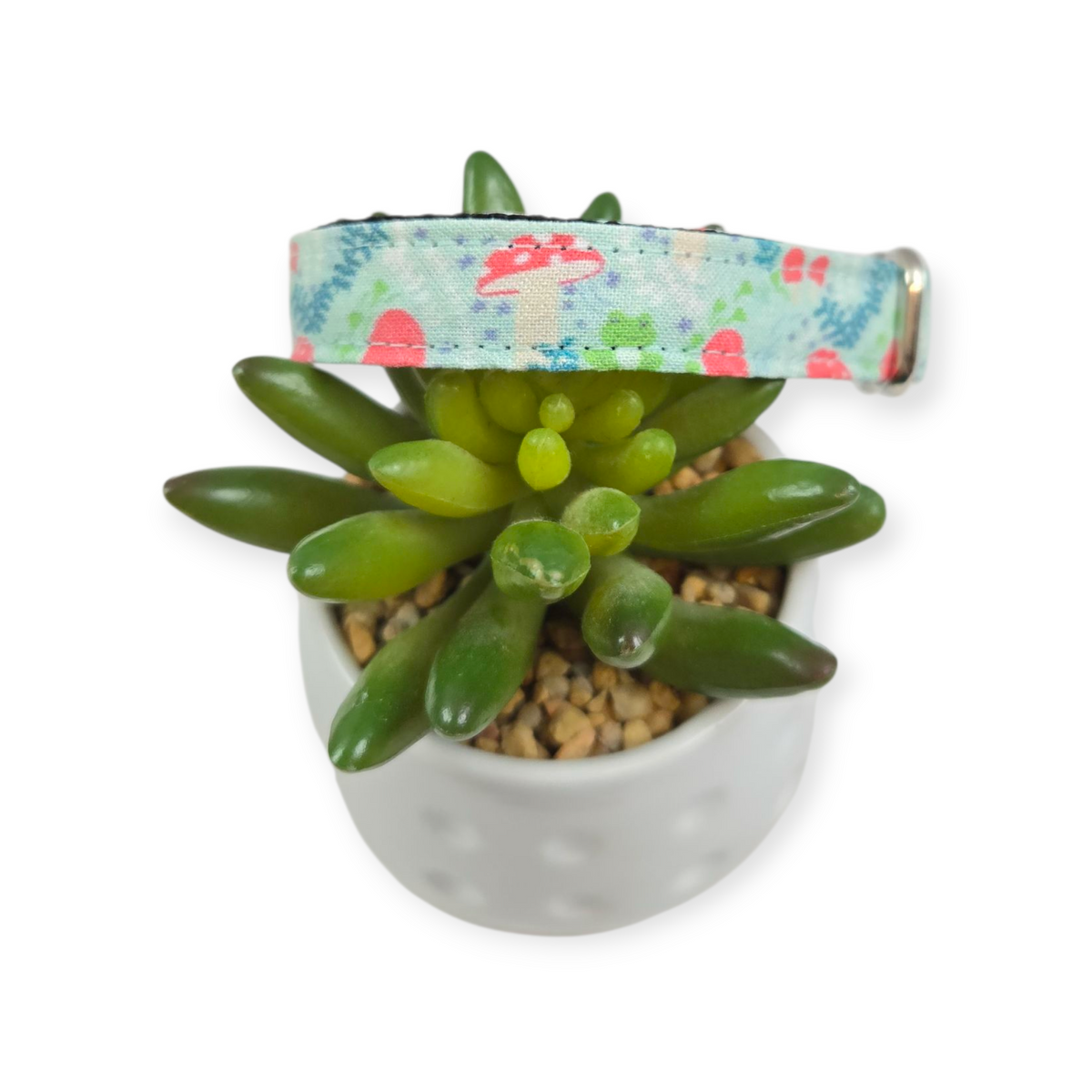 Mushrooms & Frogs Dog Collar