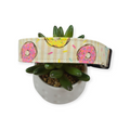Donuts Dog collar (Large)