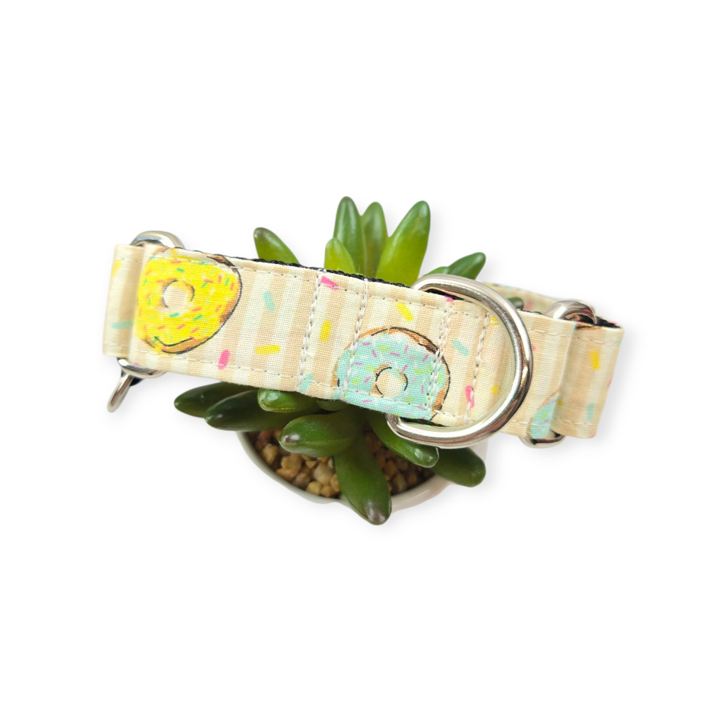 Donuts Martingale Dog Collar (Medium, 1" wide)