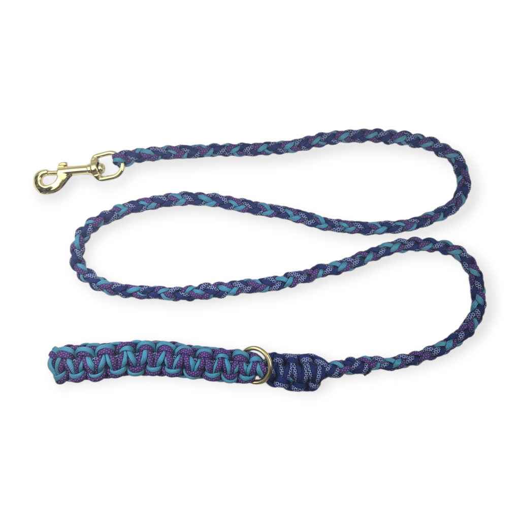 Blueberry Fields Paracord Rope leash (6')