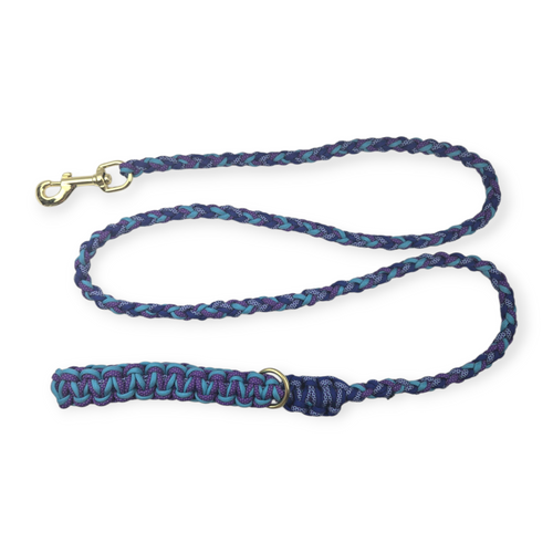 Blueberry Fields Paracord Rope leash (6')
