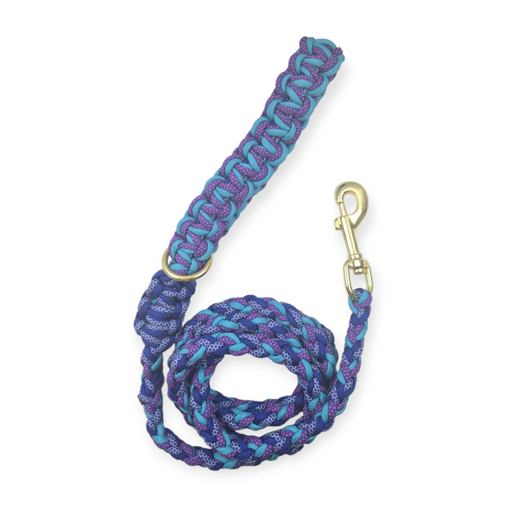 Blueberry Fields Paracord Rope leash (6')