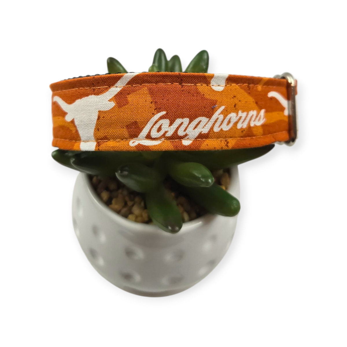 UT Longhorns Dog Collar (Medium, 1" wide)
