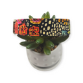 Brushstroke Flowers Dog collar (Medium, 1" wide)