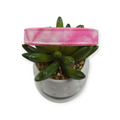 Pink Tie Dye Dog Collar (Medium)