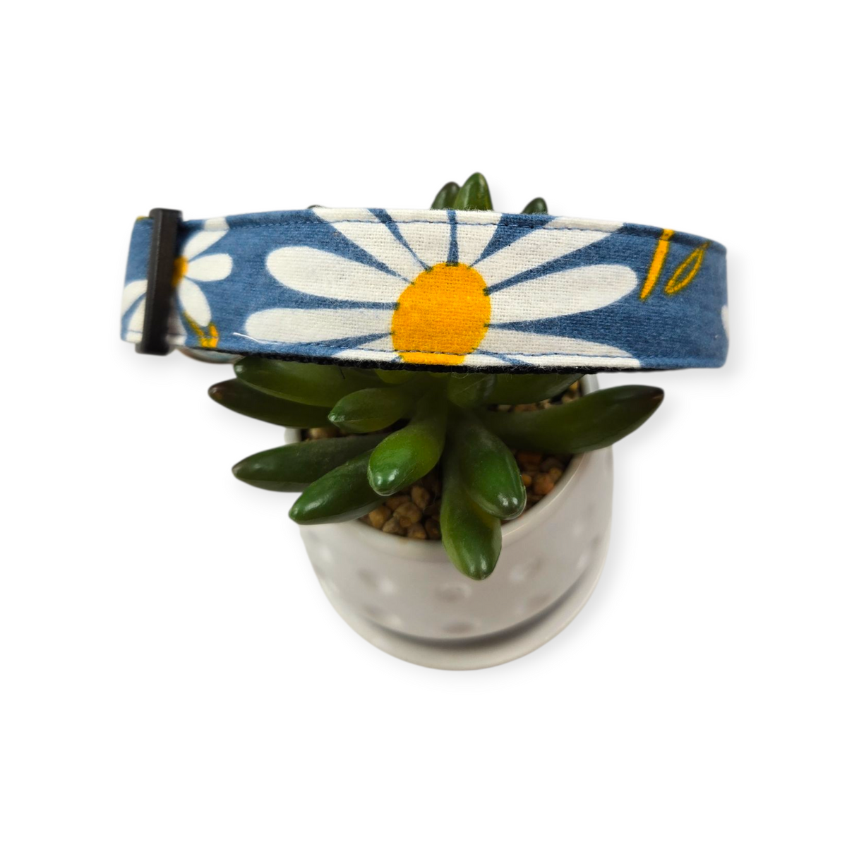 Daisy on Denim Dog Collar (Large)
