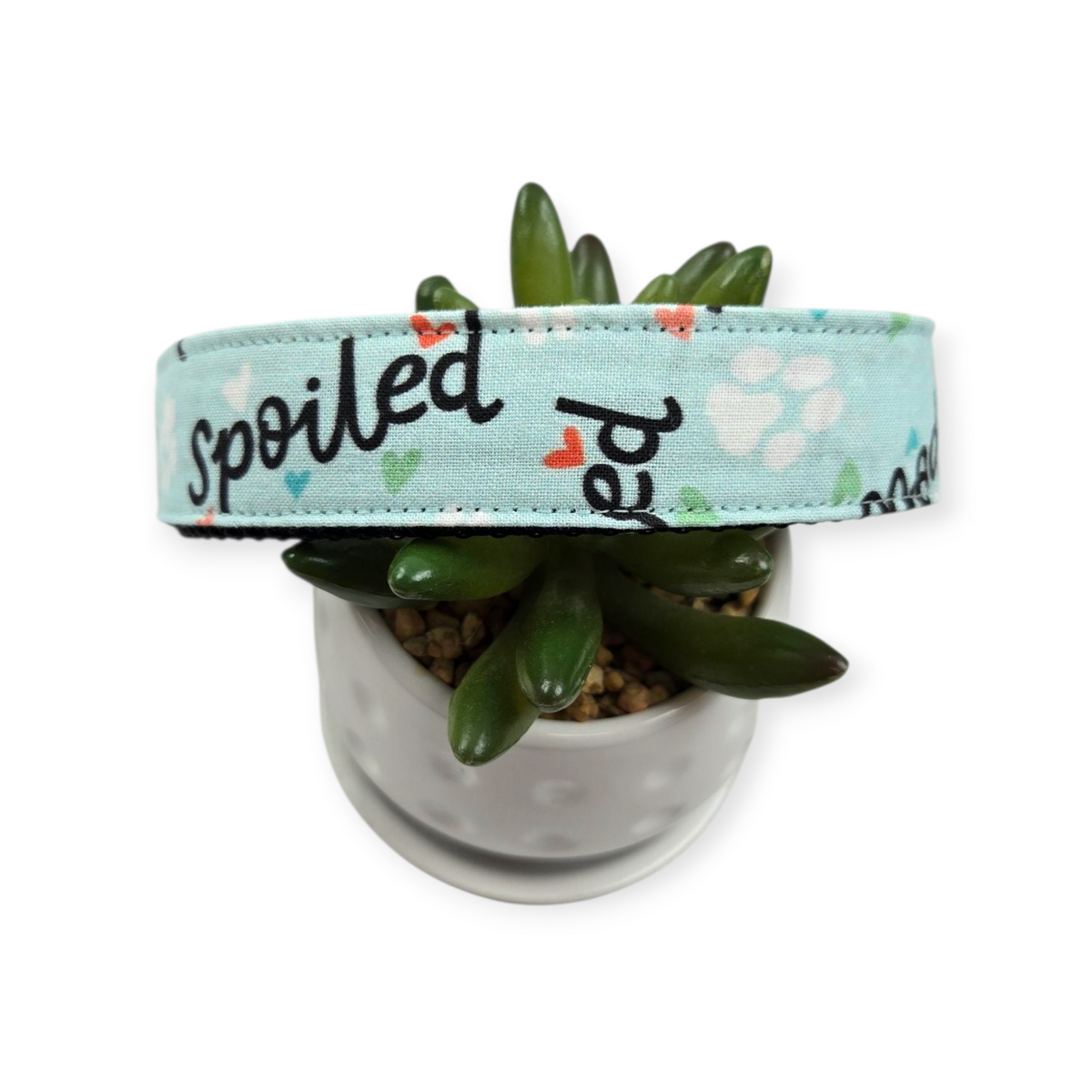 Spoiled on Blue Dog Collar (Large)