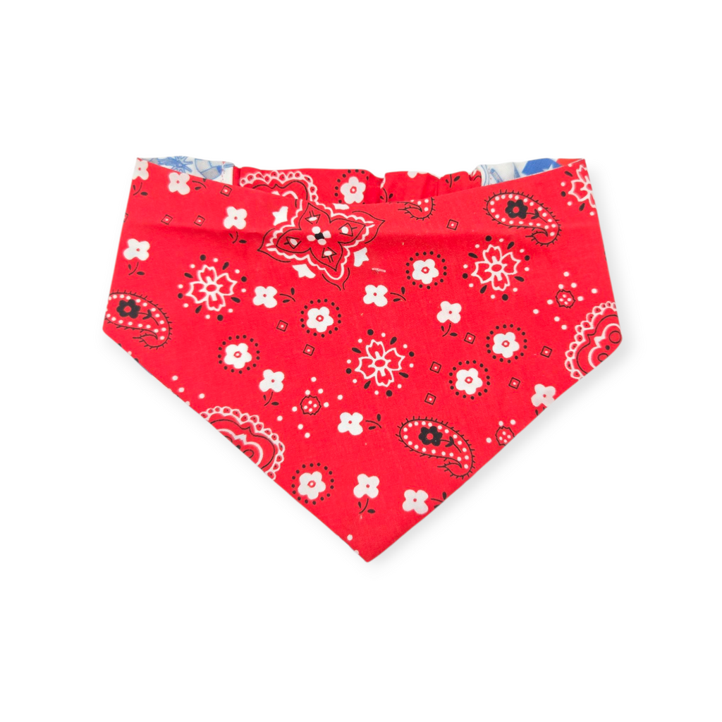 Texas Symbols on White/Red Paisley Slip-on Scrunchie Bandana (Medium)