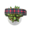 Tartan Plaid Dog Collar (Large)