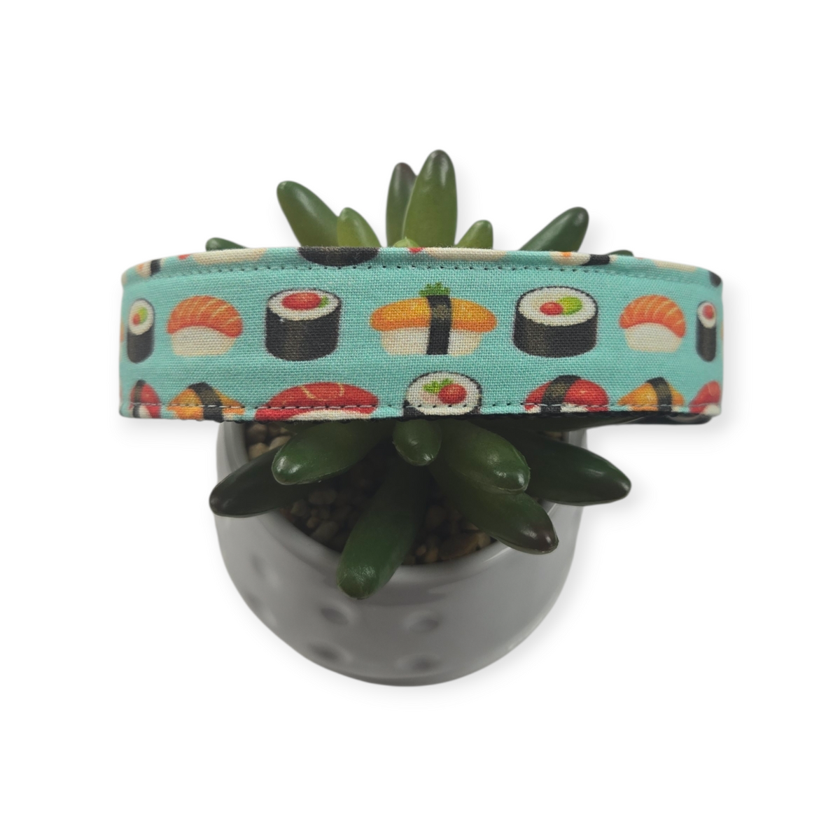 Sushi on Aqua Dog Collar (Large)