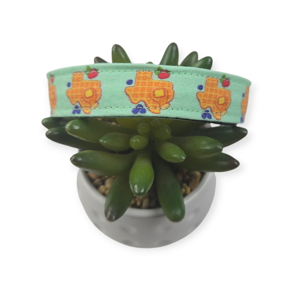 Texas Waffle Dog collar (Small, 3/4" wide)