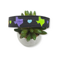 Colorful Texas Dog Collar (Large)