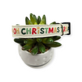 Oh Christmas Treat Dog collar (Medium)