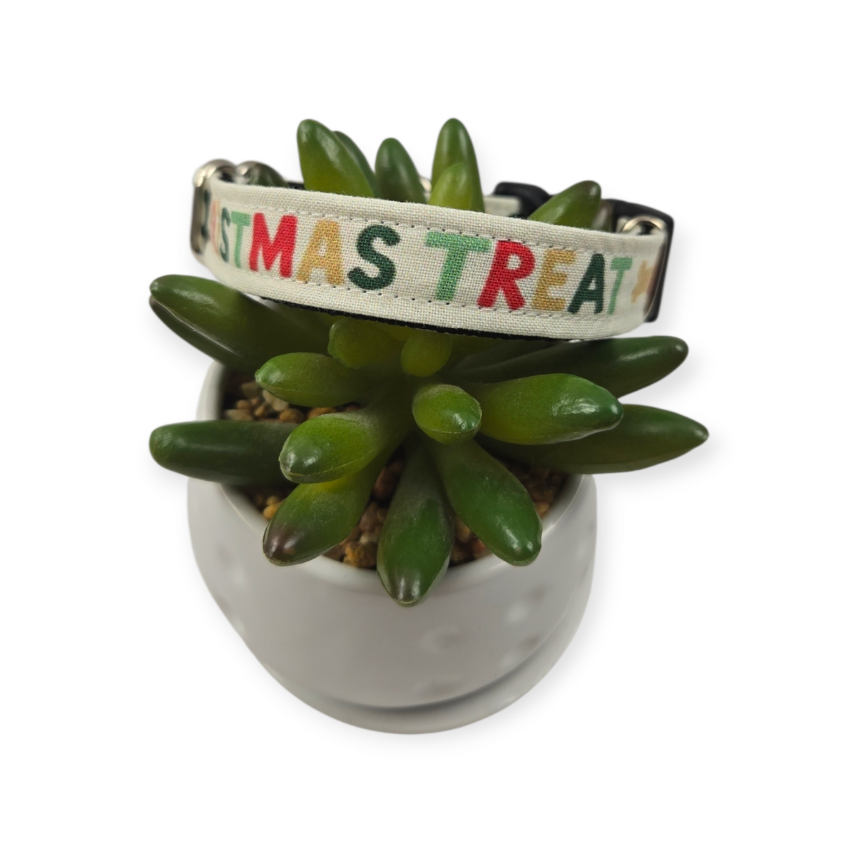 Oh Christmas Treat dog collar (Small)
