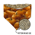 Pumpkin Patch/Tan Paisley Reversible Bandana