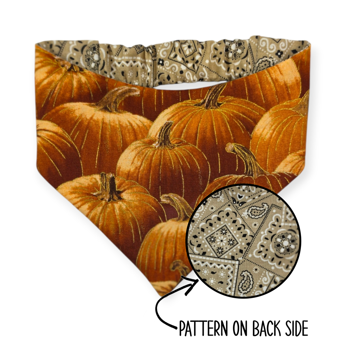 Pumpkin Patch/Tan Paisley Reversible Bandana